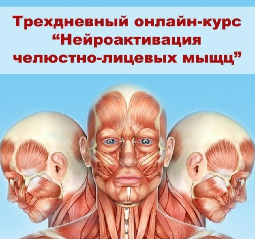 [Александр Киреев, Татьяна и Евгений Коган] Нейроа_0.jpg